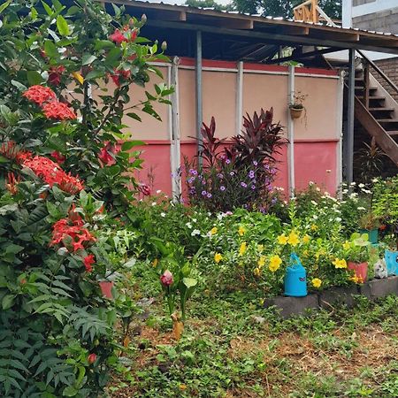 Altagracia Hospedaje Bananas מראה חיצוני תמונה