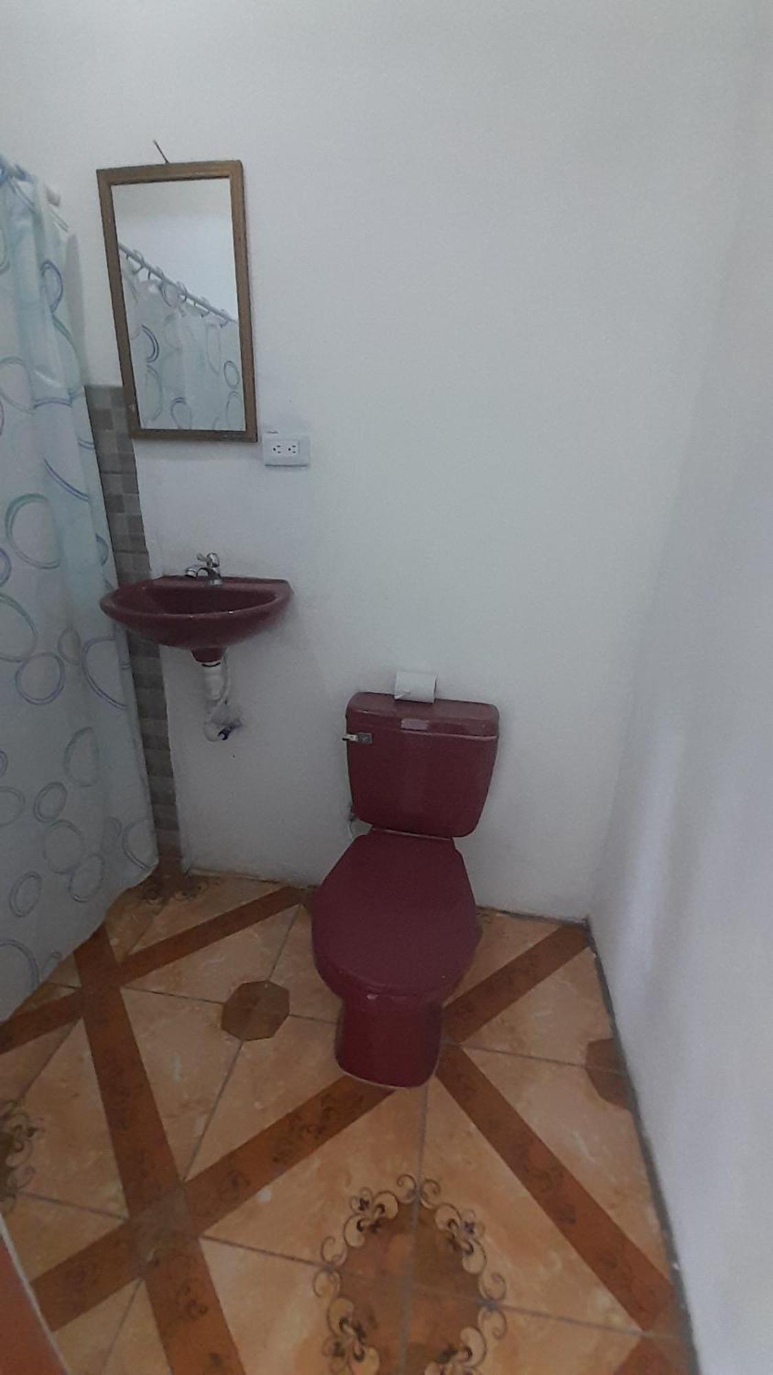 Altagracia Hospedaje Bananas חדר תמונה