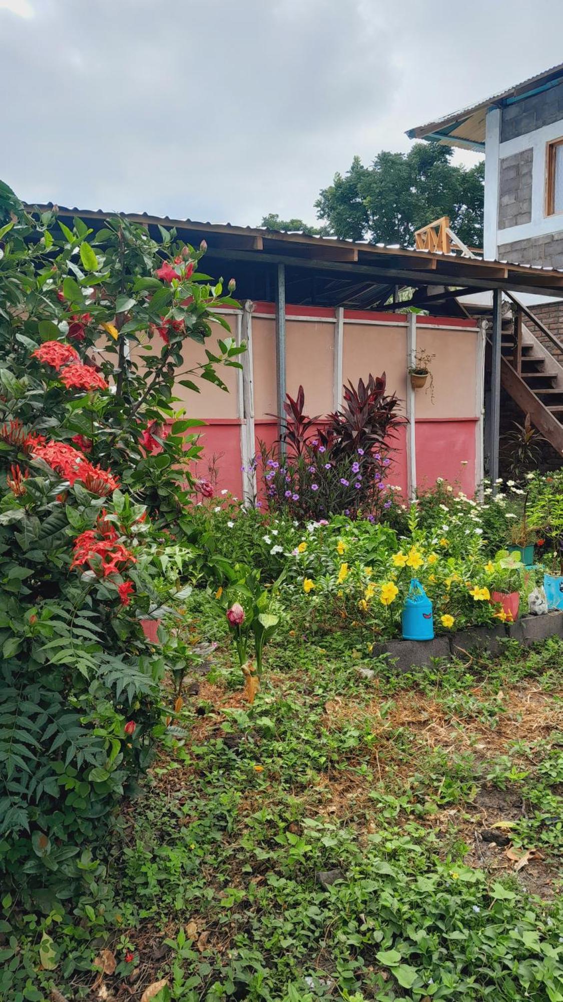 Altagracia Hospedaje Bananas מראה חיצוני תמונה