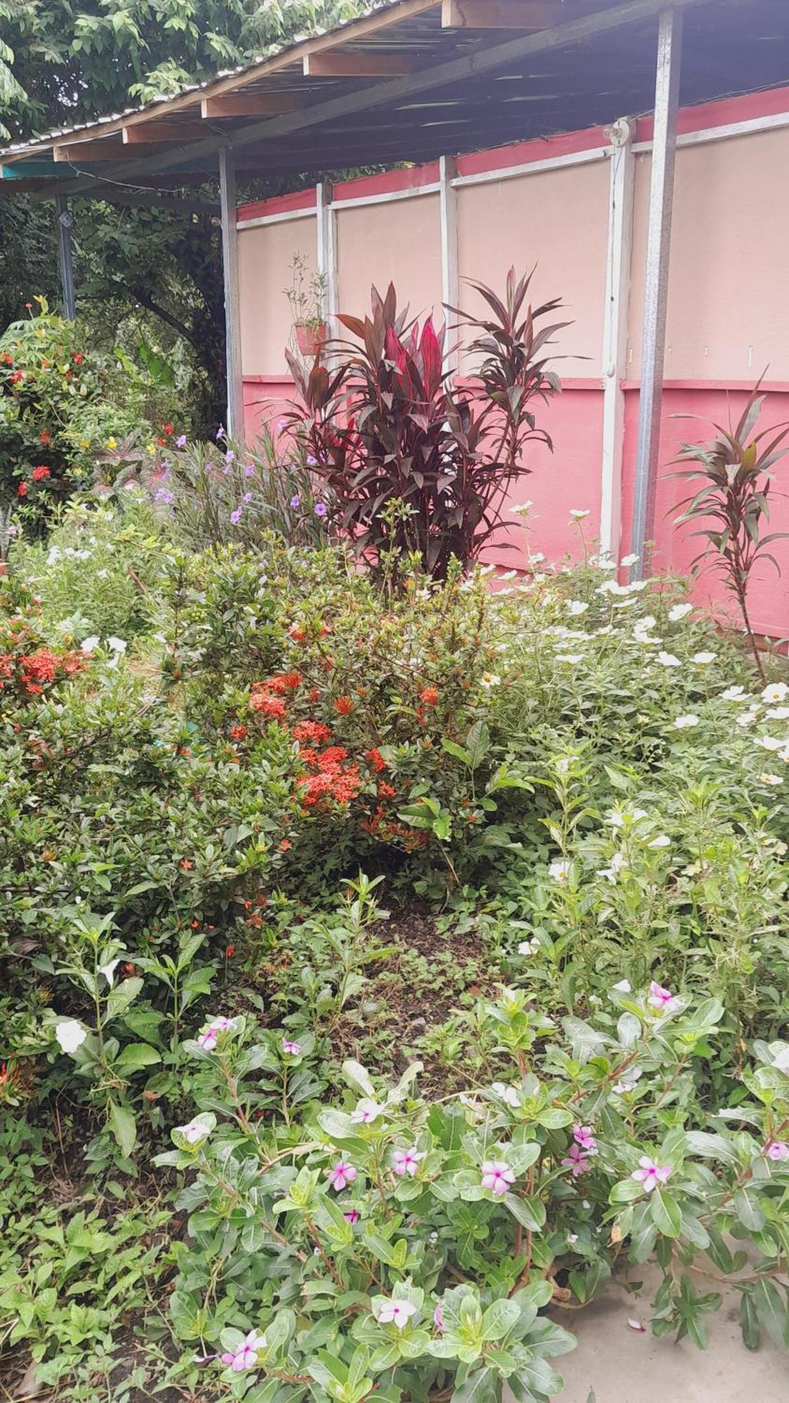 Altagracia Hospedaje Bananas מראה חיצוני תמונה