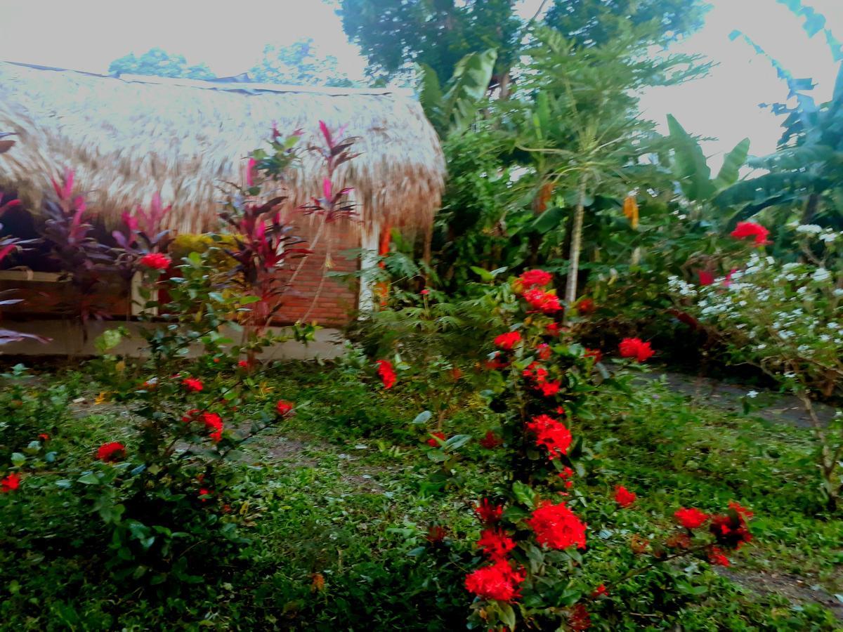 Altagracia Hospedaje Bananas מראה חיצוני תמונה