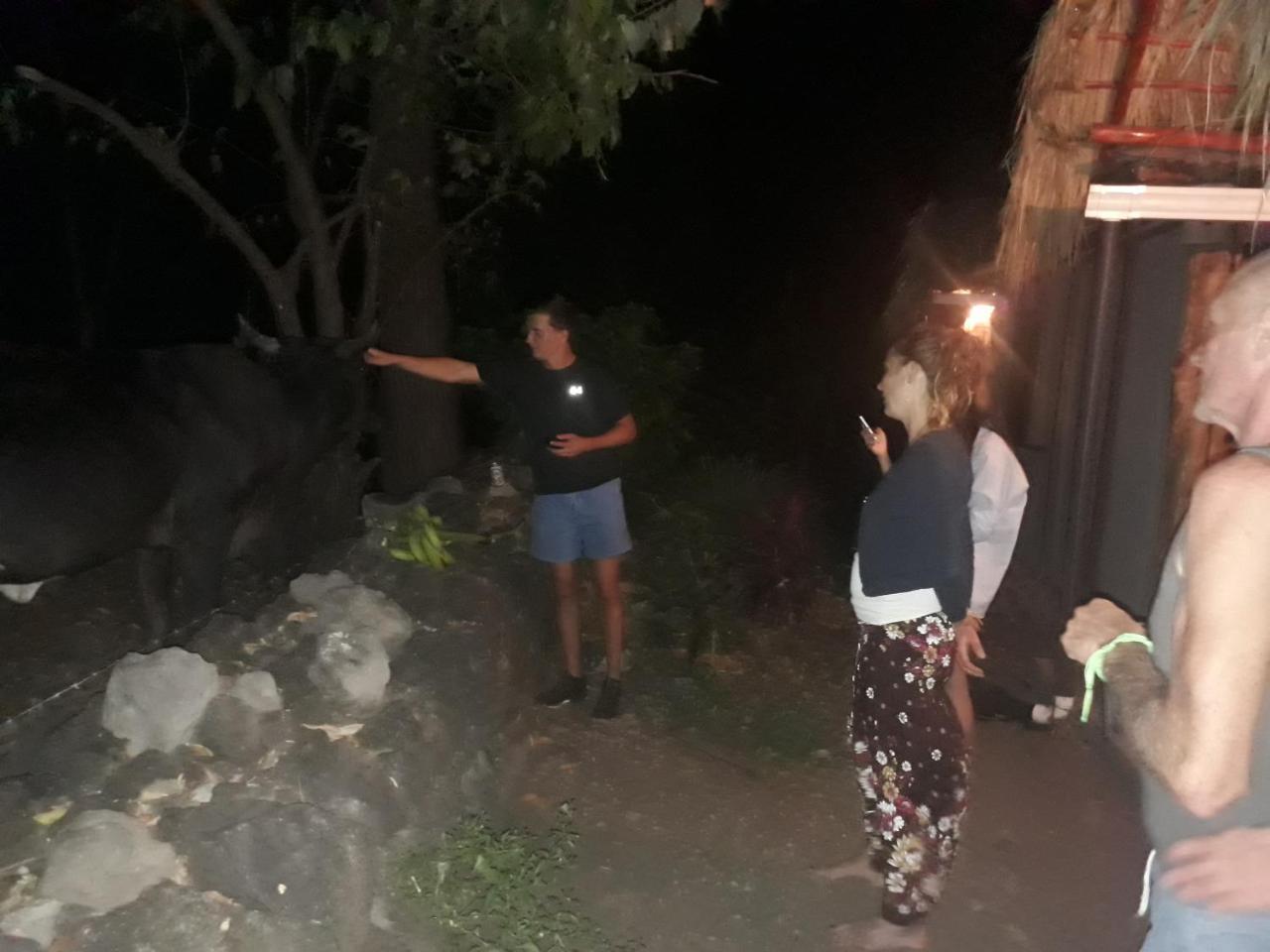 Altagracia Hospedaje Bananas מראה חיצוני תמונה