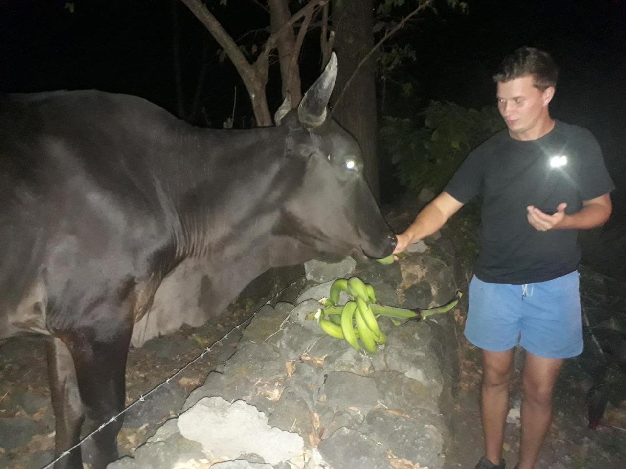 Altagracia Hospedaje Bananas מראה חיצוני תמונה